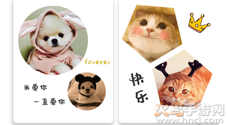 宠物Cam app最新版