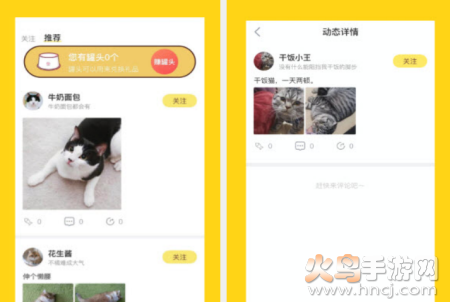 宠萌小窝app 宠萌小窝app