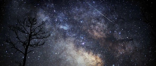 国家地理app免费版