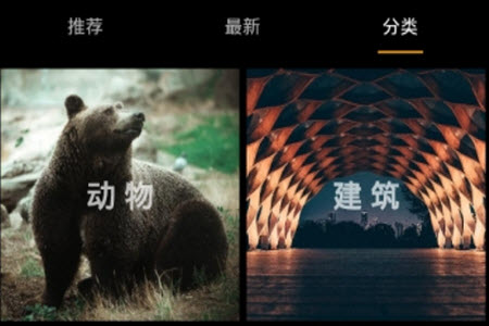 我的壁纸app安卓版