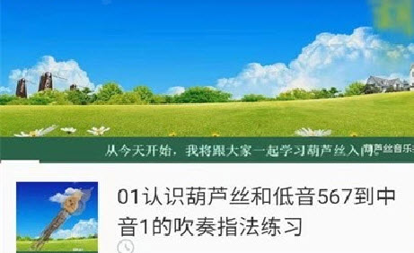 最美葫芦丝app