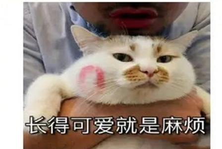 表情动图制作app