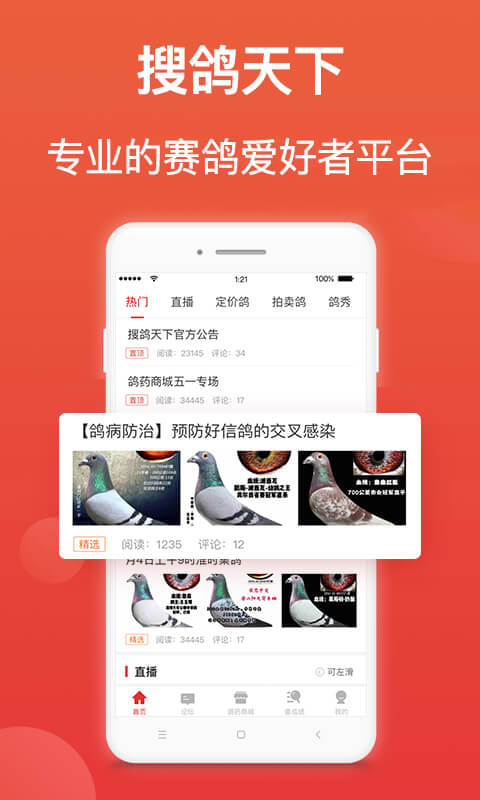 赛鸽头条下载安装 赛鸽头条下载安装