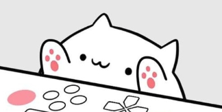 Bongo Cat Musical Instruments app Bongo Cat Musical Instruments app