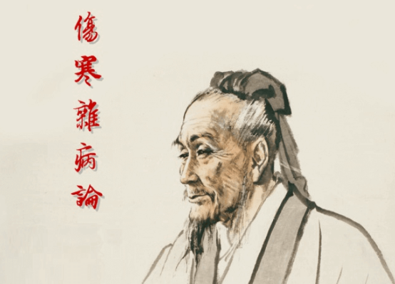 小猴掌上伤寒论app 小猴掌上伤寒论app