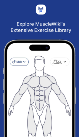 MuscleWiki官方下载 MuscleWiki官方下载