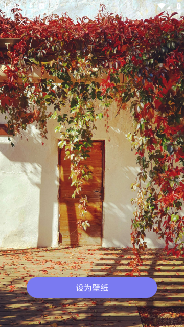 我的桌面壁纸app