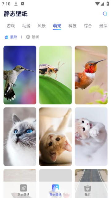 哇叽壁纸手机版 哇叽壁纸手机版