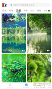 小鸟壁纸app v3.0.2安卓版