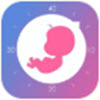 元墨孕育app v0.3.2安卓版 元墨孕育app v0.3.2安卓版