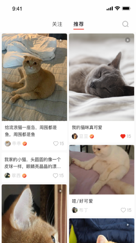 宠年年app v1.0 官方版