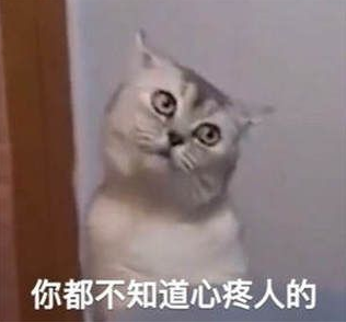 想你的液图片表情包 v1.0