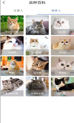 宠物知识全书app v1.0.0安卓版