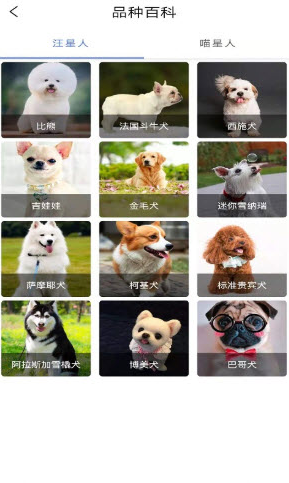 宠物知识全书app v1.0.0安卓版