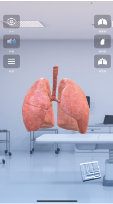 杨先森app v1.0.0安卓版