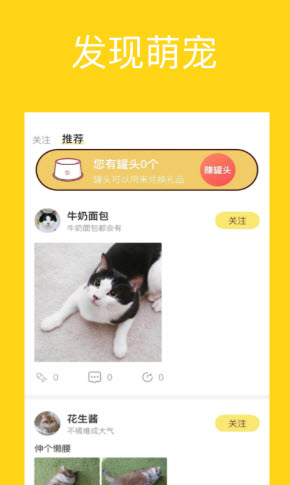宠萌小窝app v1.0.0 安卓版