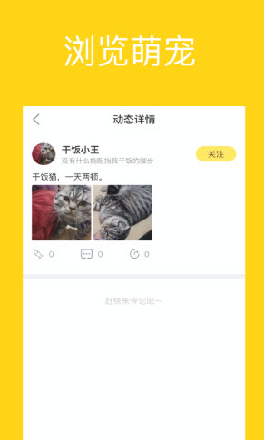 宠萌小窝app v1.0.0 安卓版