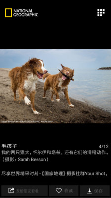 国家地理app免费版 v2.6.1安卓版