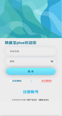 银盛宝plus app v1.0.0安卓版