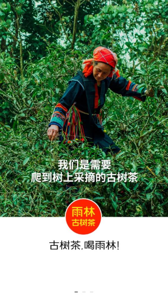 雨林易购app v5.0.980 官方版