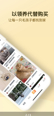 小萌猫app v1.0.2安卓版