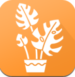 植物品鉴app v1.0安卓版 植物品鉴app v1.0安卓版