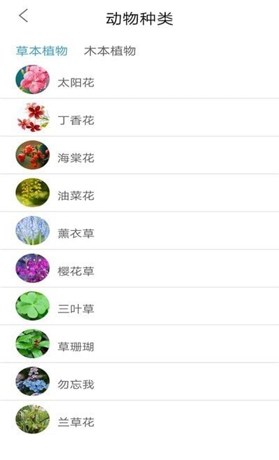 植物品鉴app v1.0安卓版