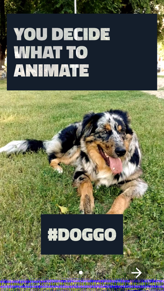 Loopsie app v0.9 安卓版