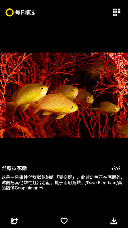 每日精选app v2.6.3 最新版