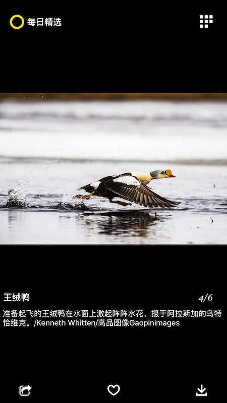 每日精选app v2.6.3 最新版