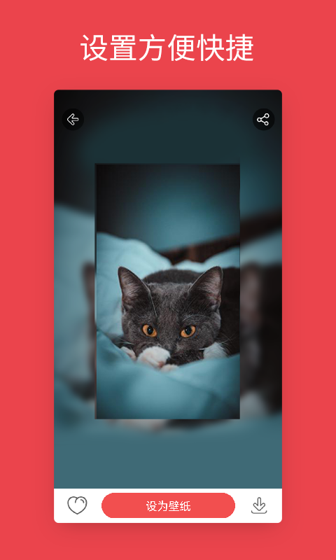 安卓动态壁纸下载安装 v4.3.1 安卓版