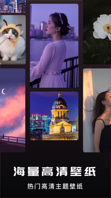 贴贴桌面app v1.1 安卓版