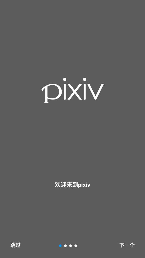 pixiv6.45.0 app v6.45.0 安卓版