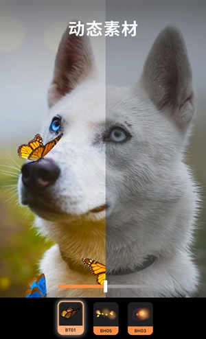 Motionleap app v1.3.10 最新版