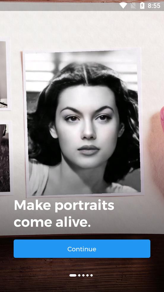 TokkingHeads app v1.2.0 安卓版