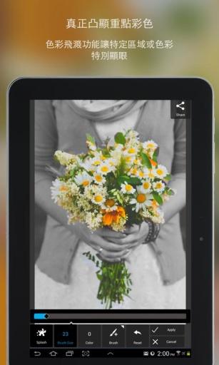 pixlr照片处理 v3.4.22 安卓版