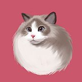 壁纸库app V1.0.1 安卓版 壁纸库app V1.0.1 安卓版