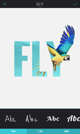 Enlight app v1.3.7 安卓版