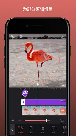 Video Leap app v9.3.9 安卓版