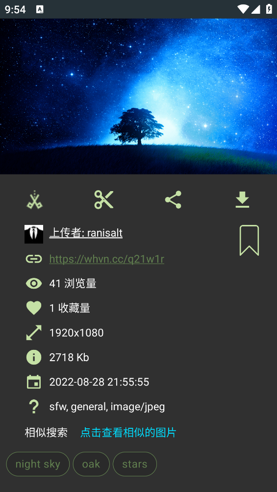 wallhaven app v6.6.6 安卓版