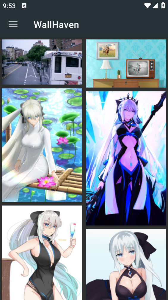 wallhaven app v6.6.6 安卓版