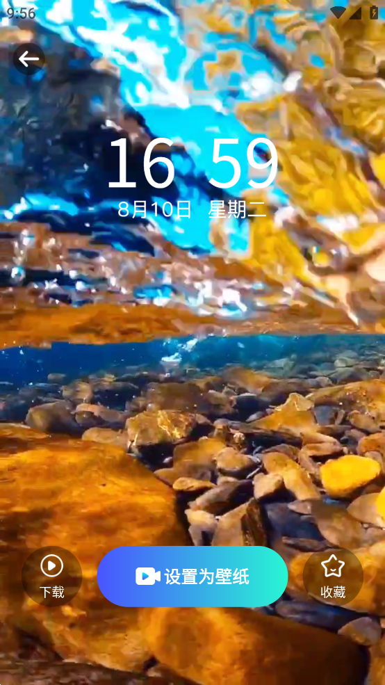 小池免费手机壁纸app v1.0.0 安卓版