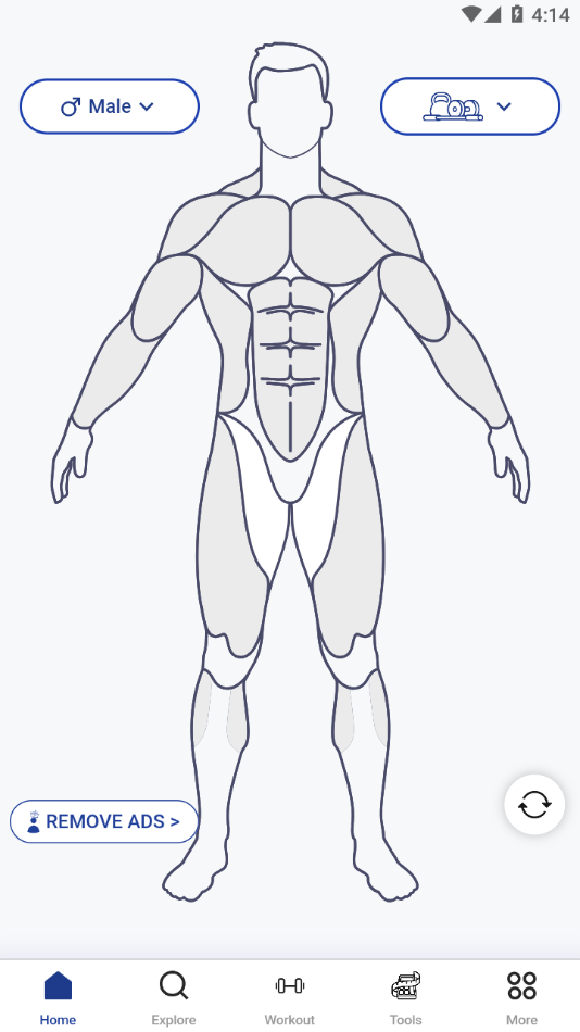 MuscleWiki官方下载 v2.2.11 最新版