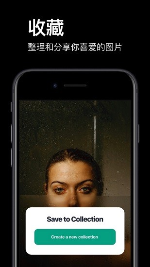 Pexels官方app手机版 v5.7.8 安卓版