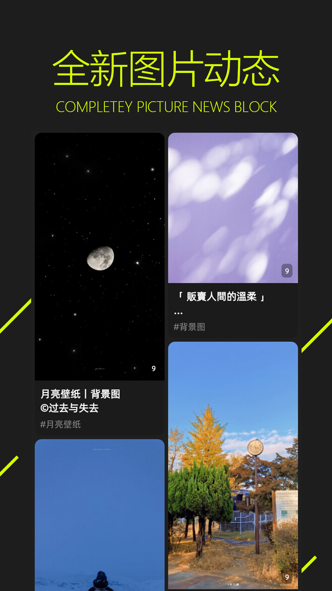 图凌壁纸app v5.0.2.3 最新版