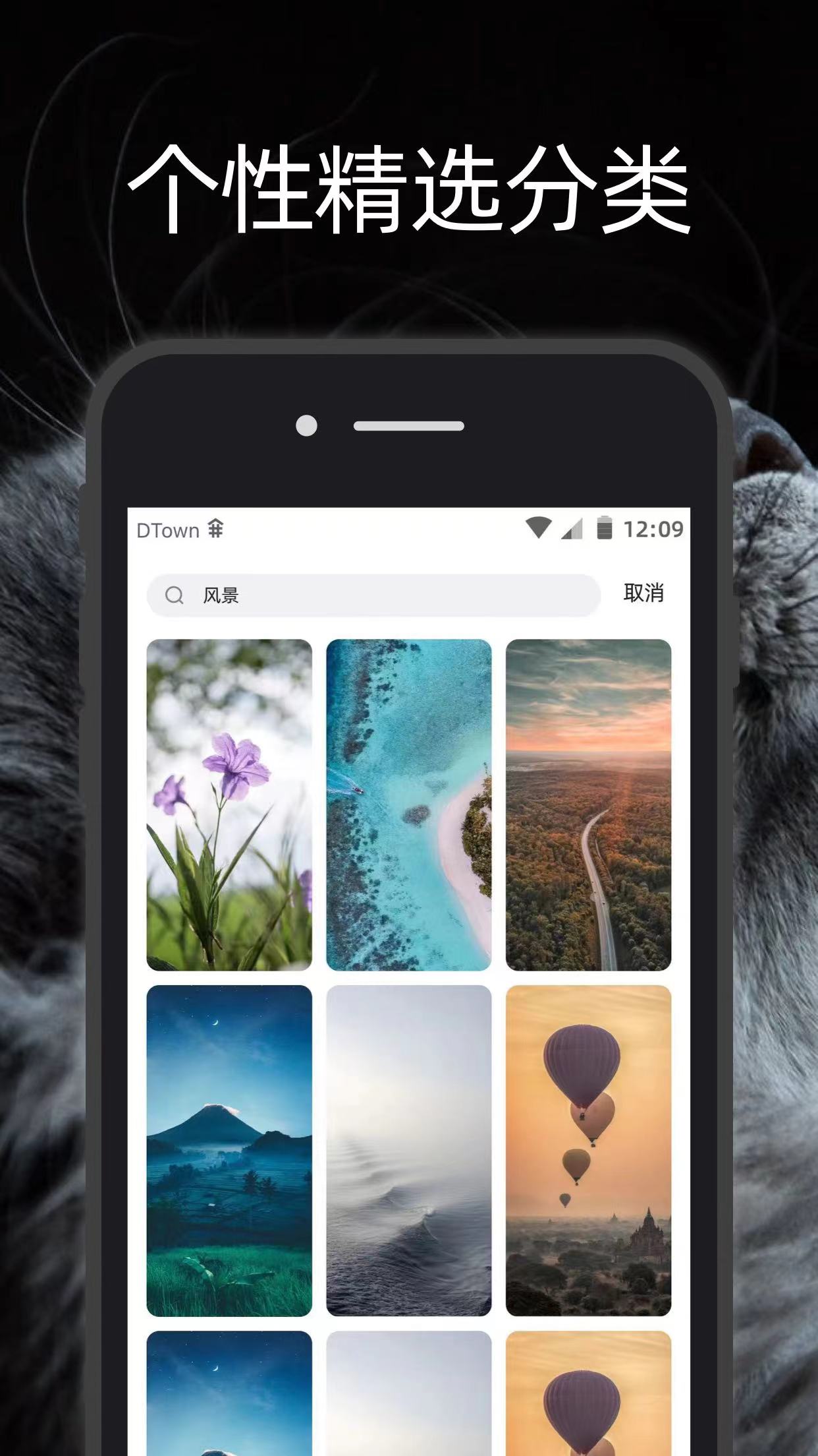 简壁纸app v3.1.1 手机版