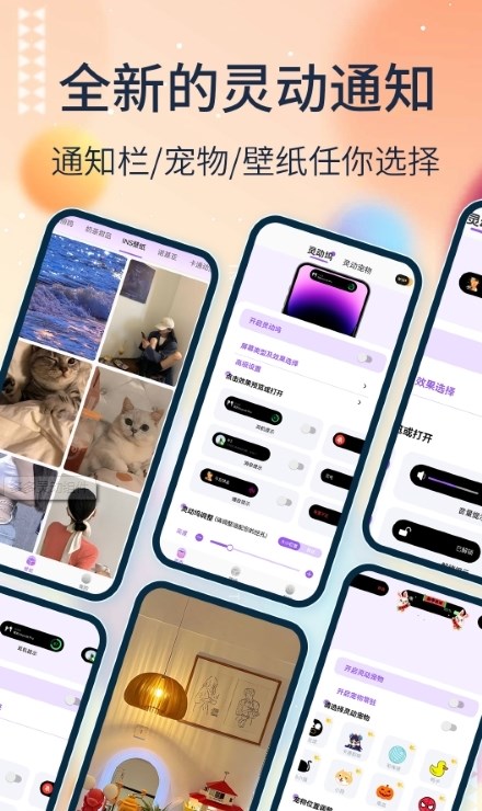 多多灵动组件APP v1.0.4 安卓版