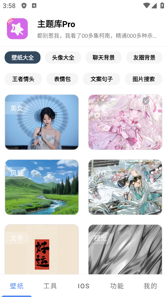 主题库pro最新版本 v1.3 安卓版