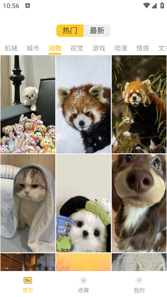 炫动次元壁纸app v1.0.1 最新版