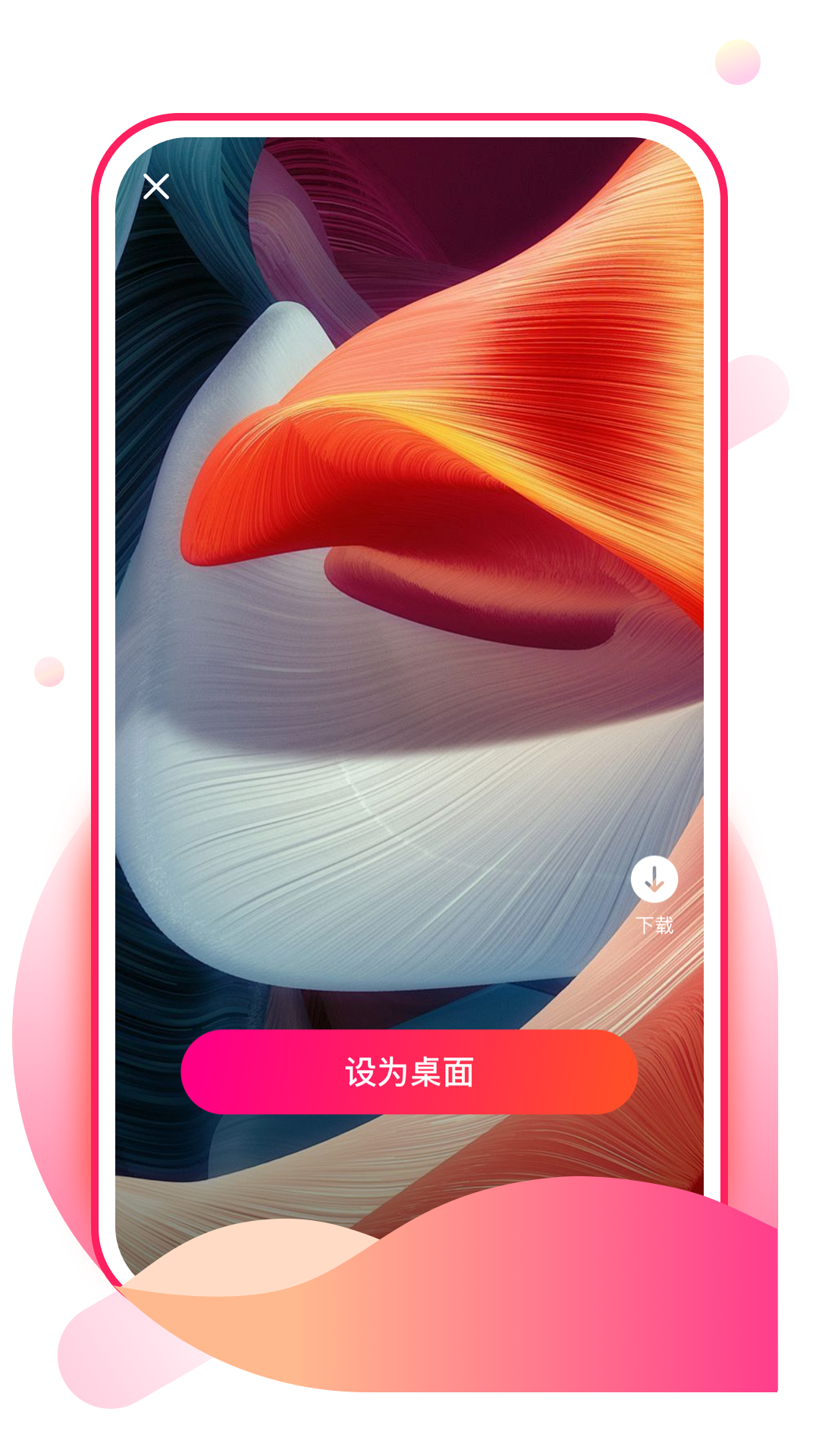 青棠壁纸APP v1.0.2 安卓版